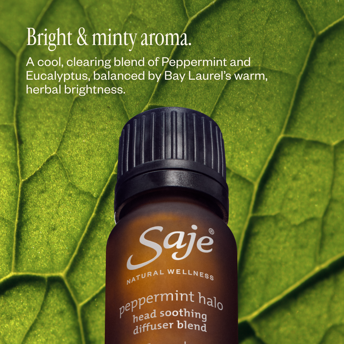 Peppermint Halo Head Soothing Diffuser Blend - Saje Natural Wellness
