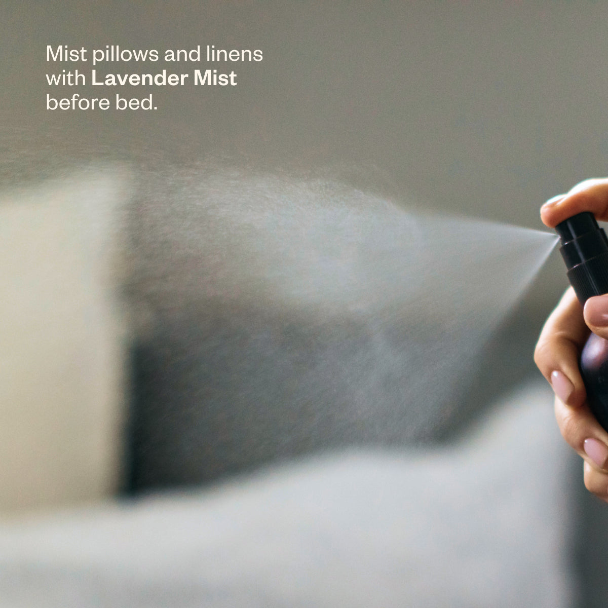 Sleep Well Restful Sleep Kit - Saje Natural Wellness