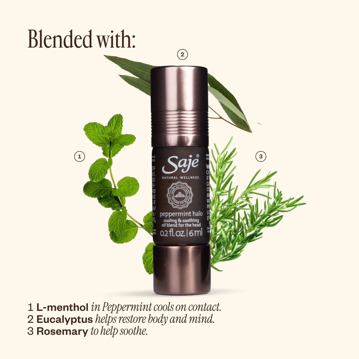 Summer SOS Seasonal Survival Kit - Saje Natural Wellness