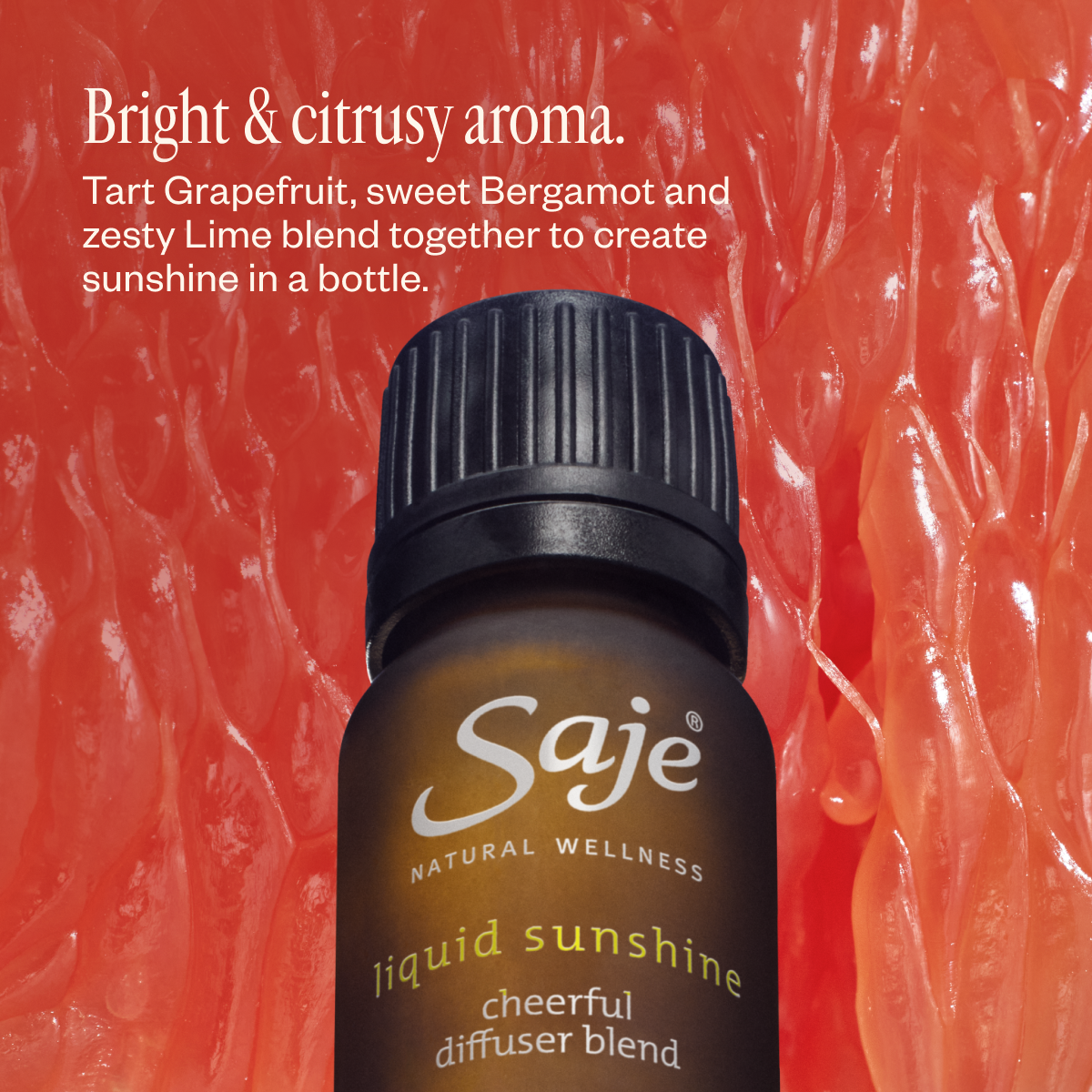Best of Diffusion Aroma Om & Diffuser Blend Bundle - Saje Best of Diffusion Aroma Om & Diffuser Blend Bundle - Saje
