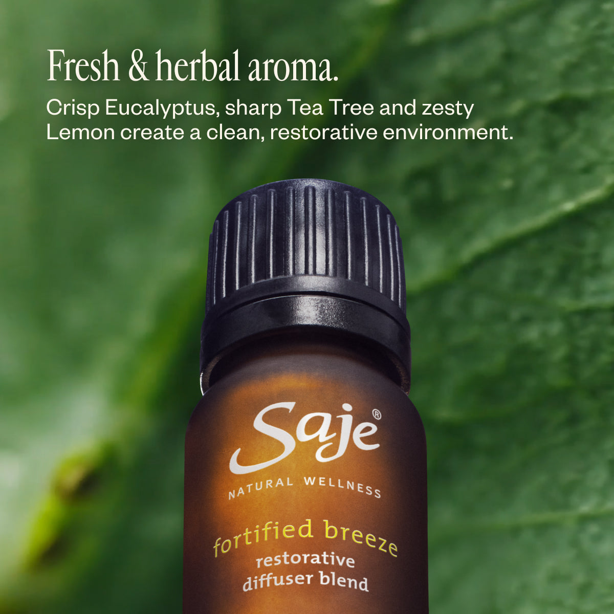 Best of Diffusion Aroma Om & Diffuser Blend Bundle - Saje Best of Diffusion Aroma Om & Diffuser Blend Bundle - Saje