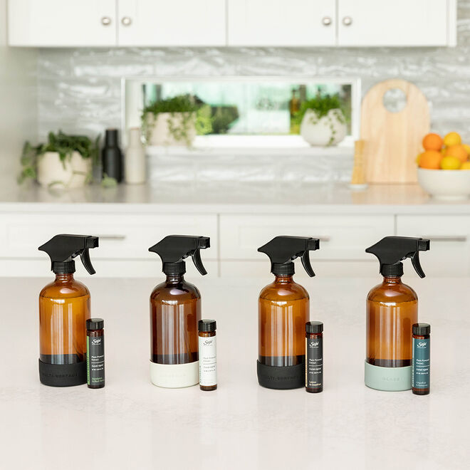 Glass Mirror Cleaning Kit Grapefruit & Palmarosa - Saje Natural