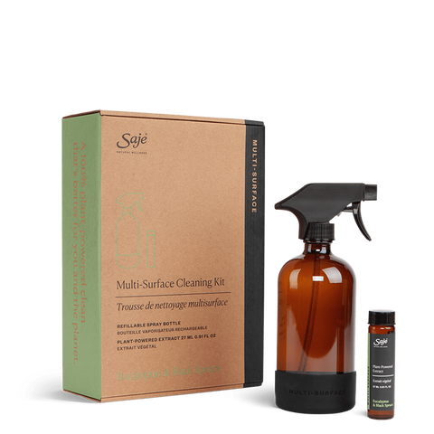 Multi-Surface Cleaning Kit