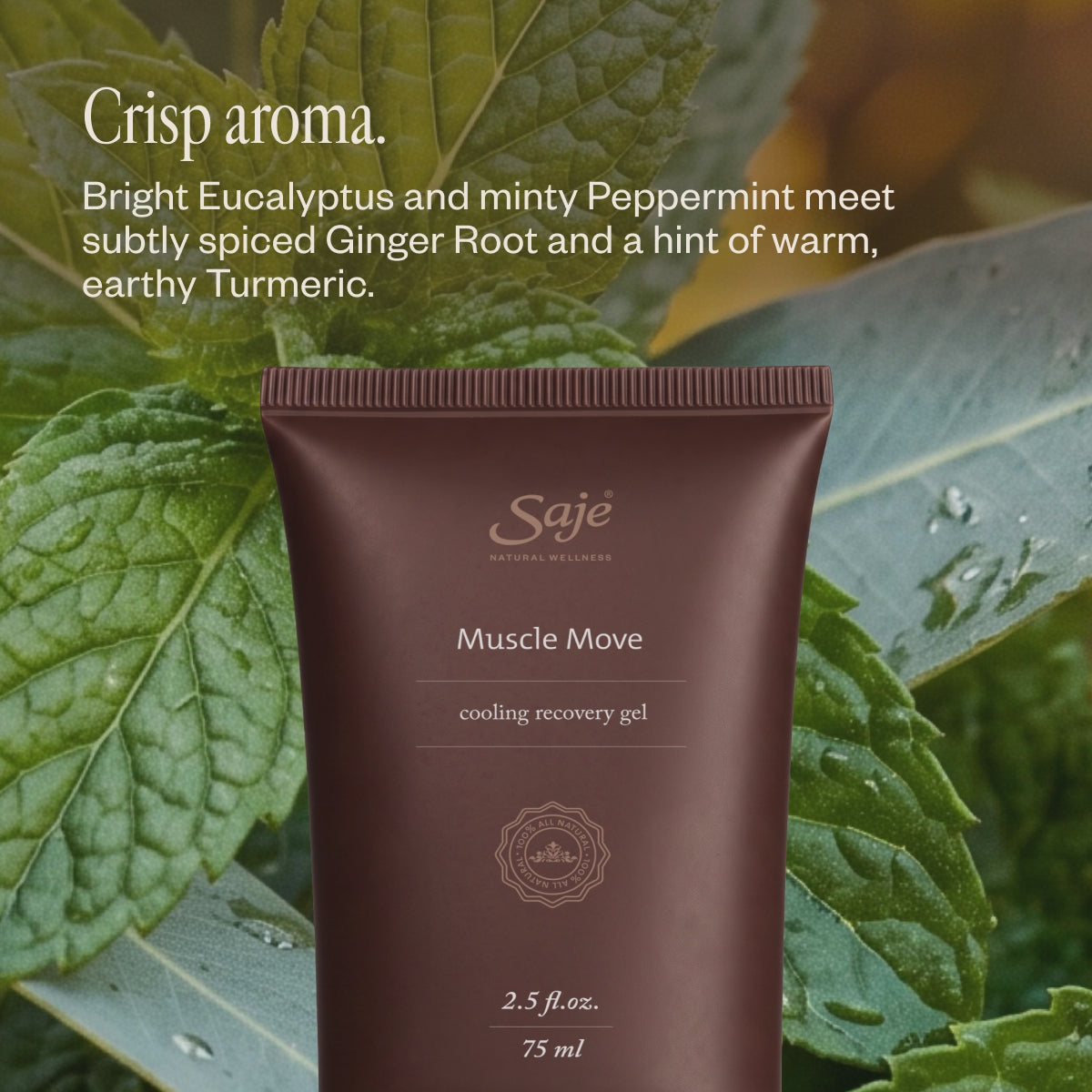 Recover & Recharge Muscle Move, Extra Strength & Sleep Well Trio