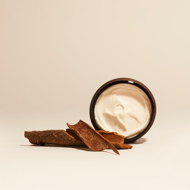 Tanra body butter with lid off and cinnamon  bark beside