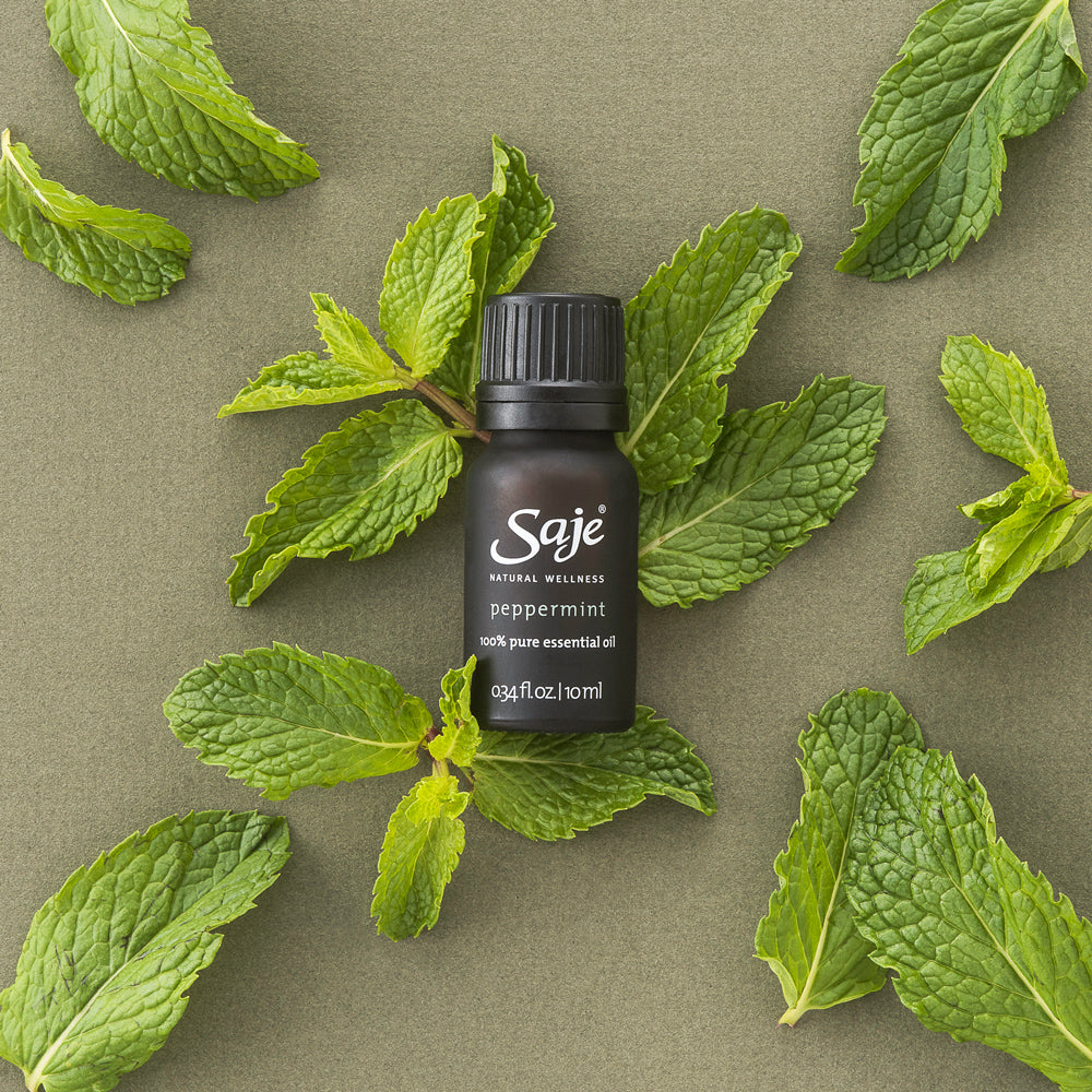 Saje shop peppermint halo