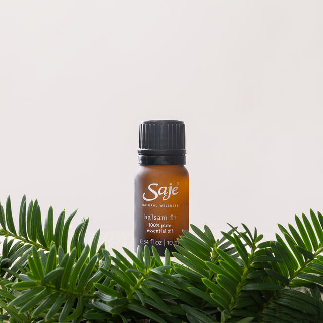 bottle of balsam fir essential oil on a fir branch